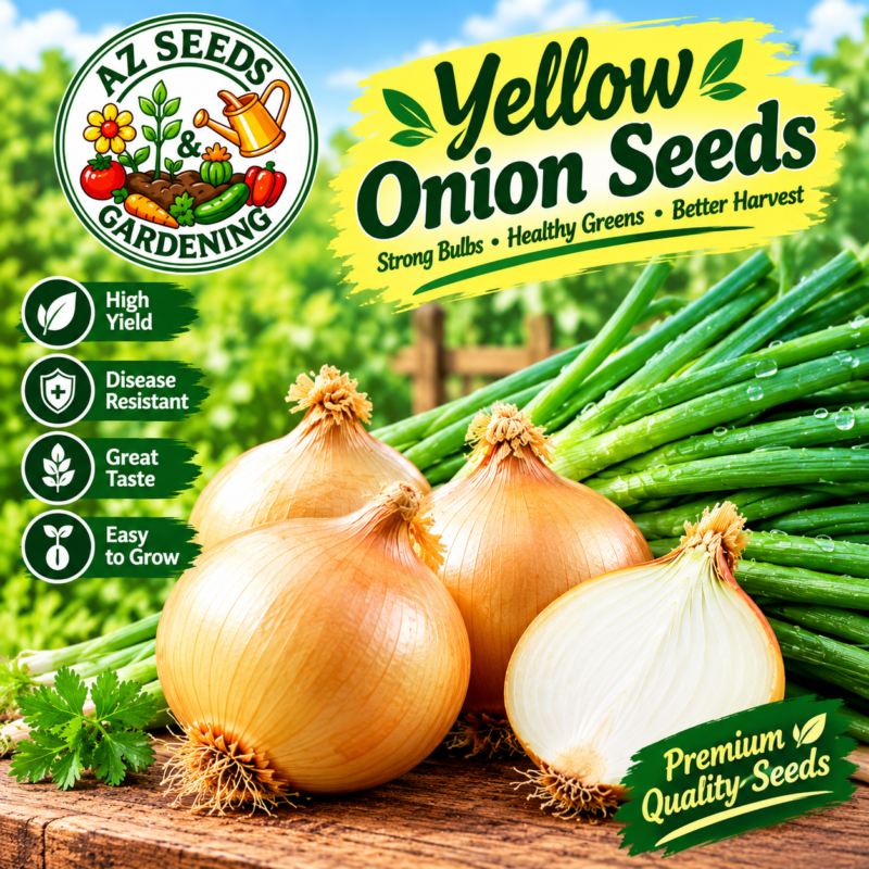 Desi Onion Seeds دیسی پیاز | WINTER