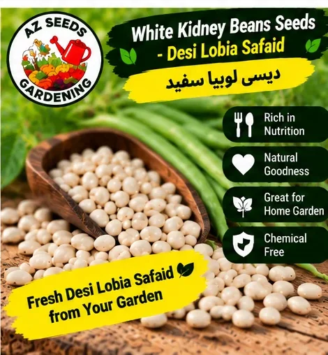 White Kidney Beans Seeds – Desi Lobia Safaid | دیسی لوبیا سفید | WINTER / SUMMER