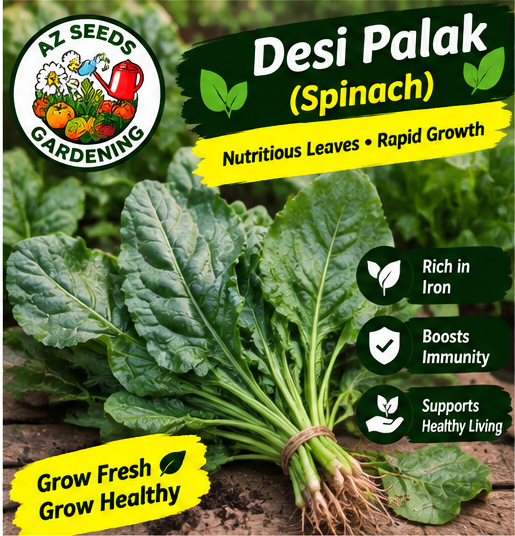 Desi Spinach (Broad Leaf) Seeds | WINTER / SUMMER دیسی پالک (چوڑے پتوں والی)