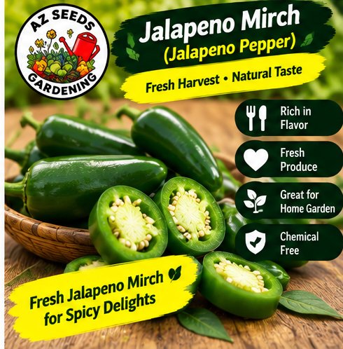 Jalapeño Pepper Seeds – Green F1 Hybrid | WINTER / SUMMER ہرا جلاپینو مرچ — پیزا اور برگر