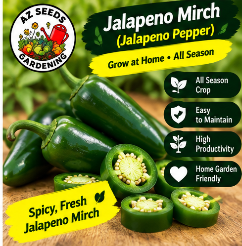 Jalapeño Pepper Seeds – Green F1 Hybrid | WINTER / SUMMER ہرا جلاپینو مرچ — پیزا اور برگر - Image 2