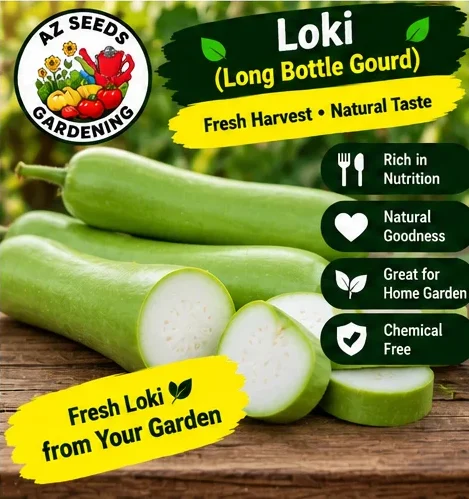 Long Bottle Gourd Seeds – Desi Loki | SUMMER | دیسی لوکی