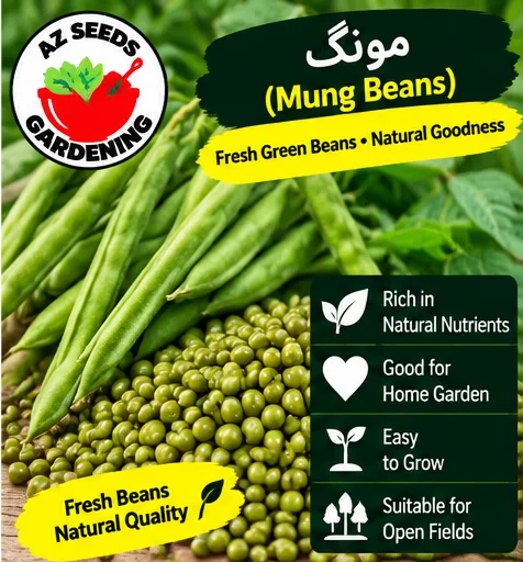 Mung Beans Seeds – Desi | WINTER / SUMMER | دیسی مونگ