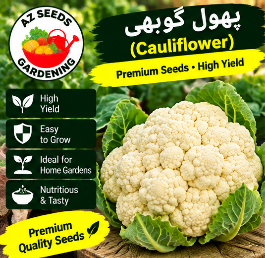 Cauliflower Seeds – Desi | WINTER | دیسی پھول گوبھی