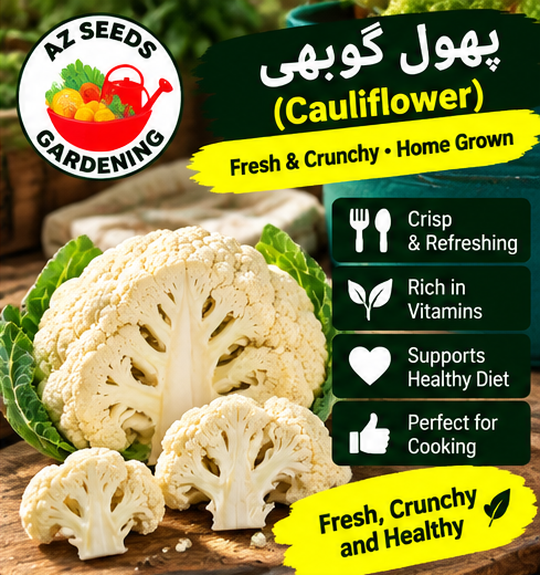 Cauliflower Seeds – Desi | WINTER | دیسی پھول گوبھی - Image 4