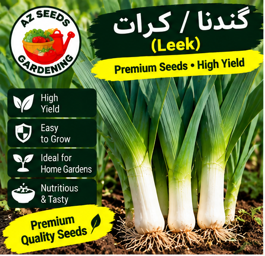 Leek Seeds – OP (Open-Pollinated) | WINTER | لیک