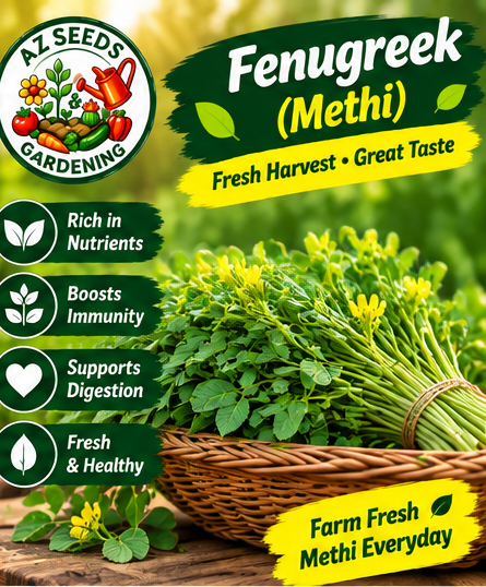 Kasuri Methi (Desi Fenugreek) قصوری میتھی (دیسی میتھی) Seeds | WINTER